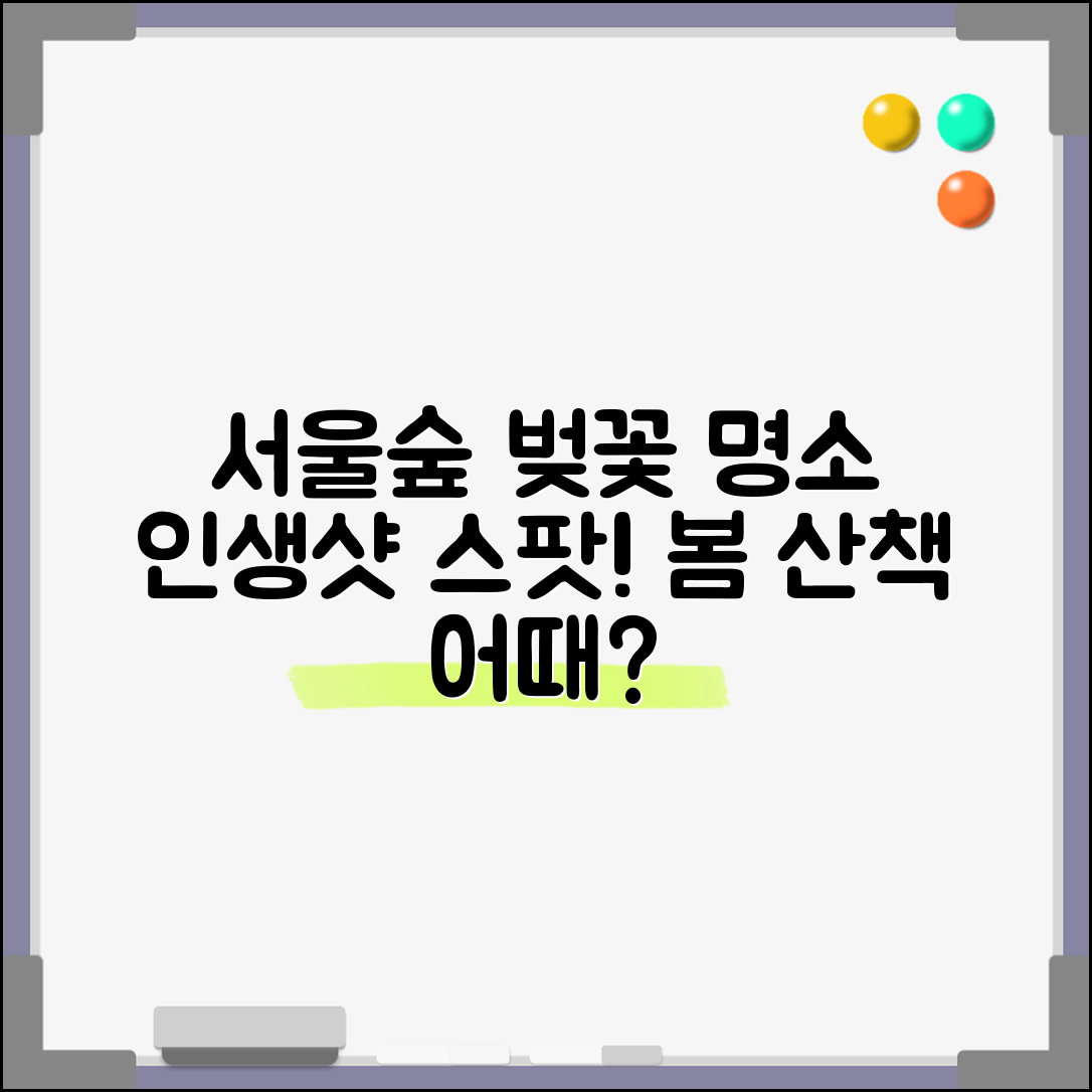 서울숲 벚꽃 명소 안내 | 봄 산책하기 좋은 포토 스팟