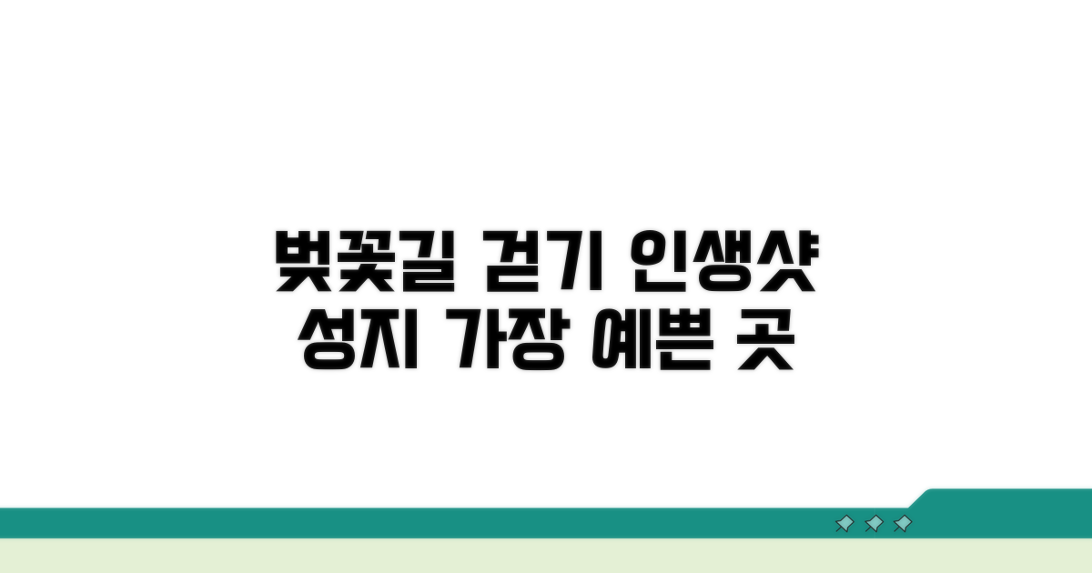 가장 예쁜 벚꽃길 따라 걷기