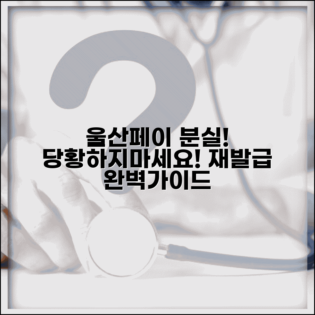 울산페이 분실신고 | 카드 분실시 재발급 절차 완벽가이드