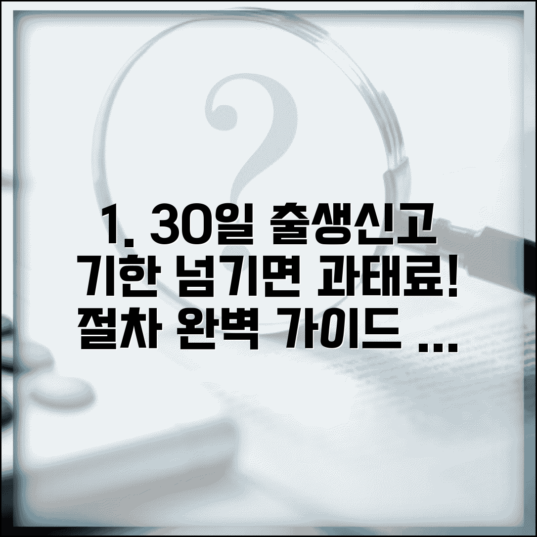 출생신고 기한 30일 이내 신고 | 출생신고 절차 지연 시 과태료 완벽 가이드