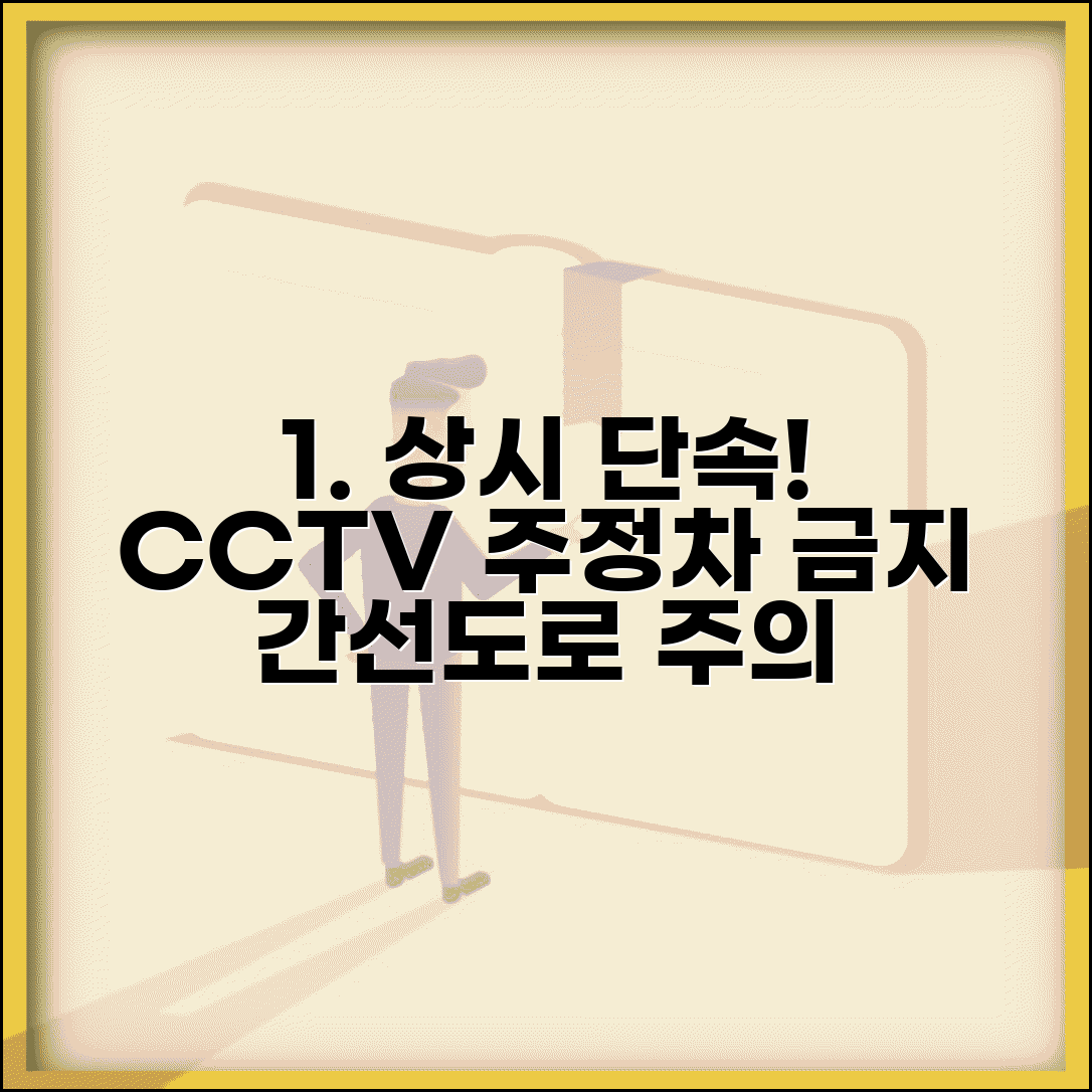 주정차 카메라 단속시간 상시 | 주요 간선도로 주정차 금지구역 CCTV 상시 단속
