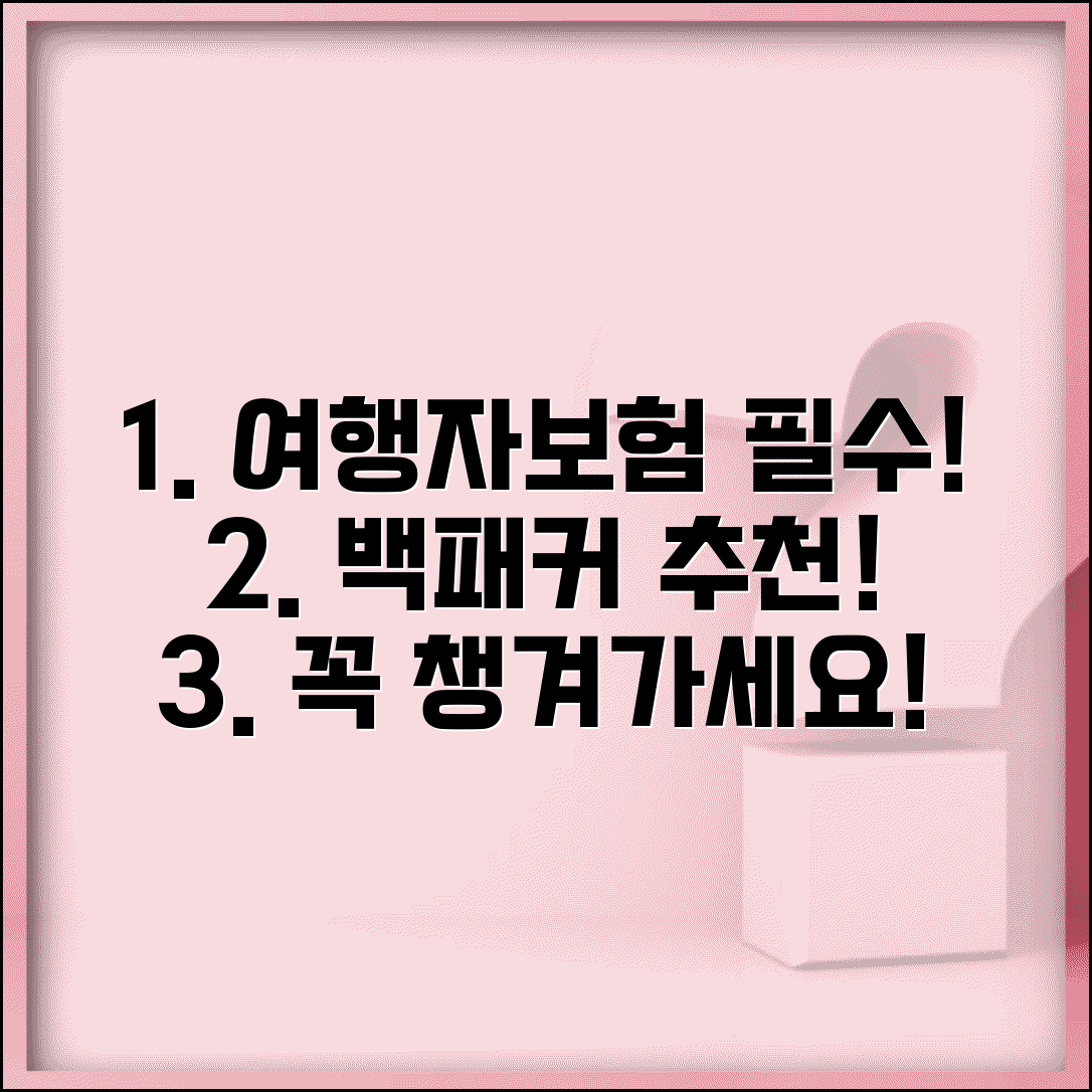 여행자보험 필수 디시 백패커 | 배낭여행자들이 강력 추천하는 필수 보장 항목들