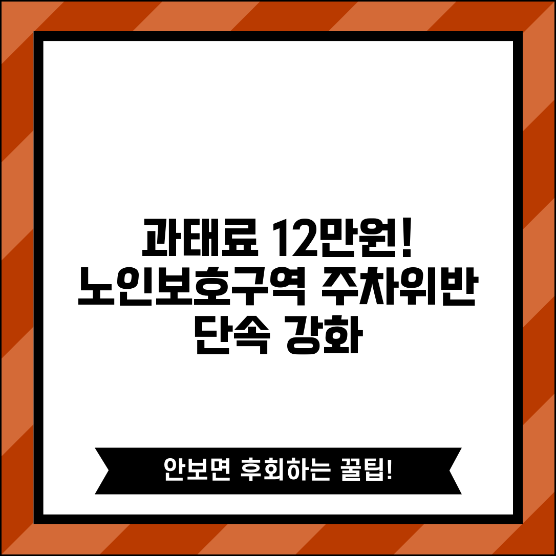 노인보호구역 주차위반 과태료 12만원 | 불법 주정차 단속 강화와 견인 기준 상세 안내