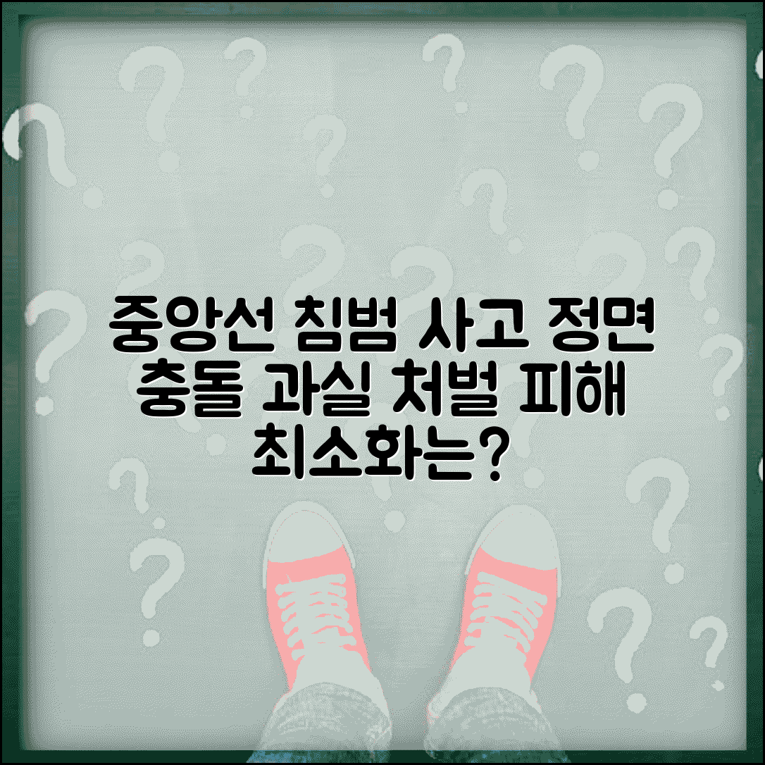 중앙선 침범 사고 처리 | 중앙선 위반 정면충돌 사고 과실과 처벌 기준