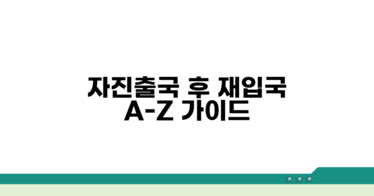 자진출국 후 재입국 절차