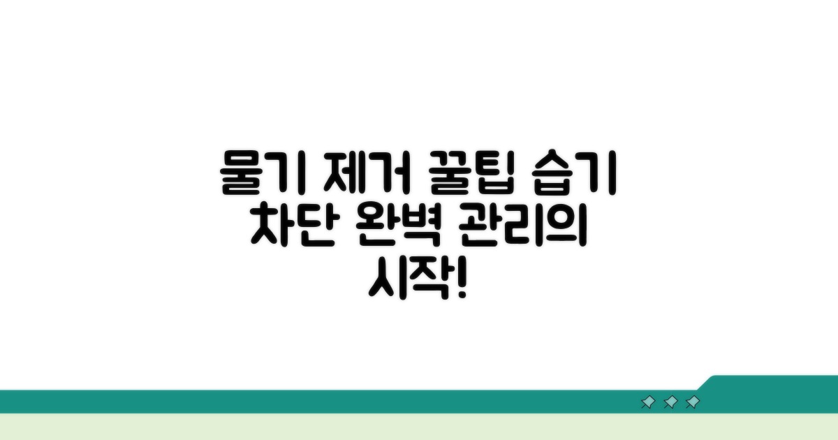 물기 제거와 관리 꿀팁