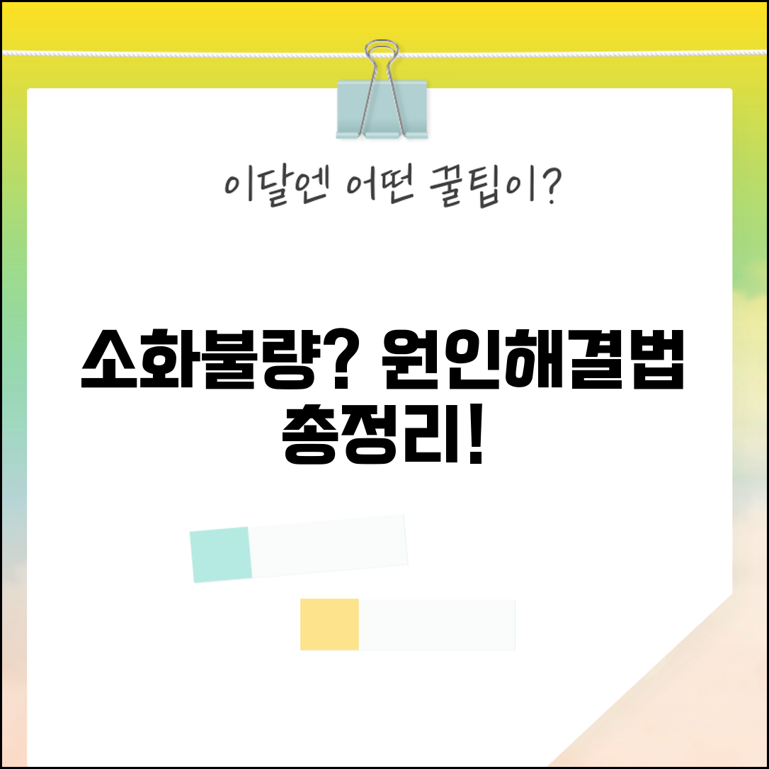 소화불량 원인과 해결 방법 | 증상별 대처법 및 만성 관리 전략 총정리