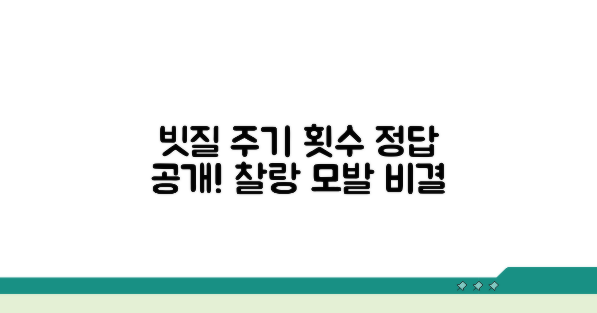 가장 효과적인 빗질 주기와 횟수