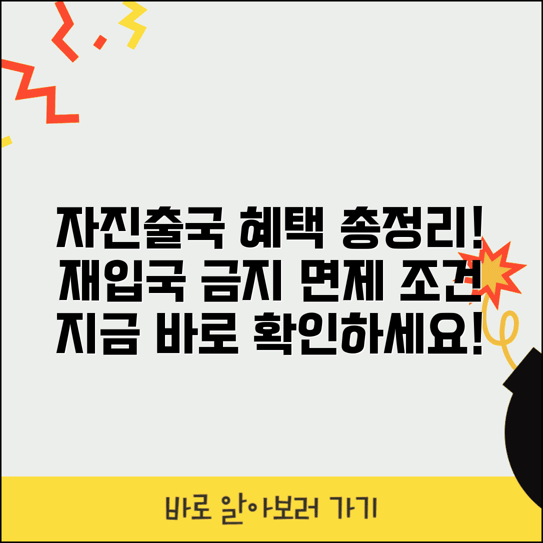 불법체류외국인 자진출국 신고 혜택 총정리 | 재입국 금지 면제 조건 및 절차 안내