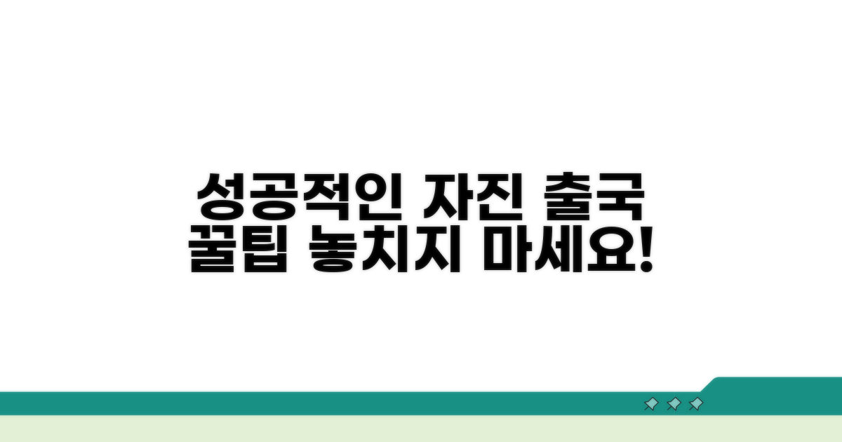 성공적인 자진출국을 위한 꿀팁