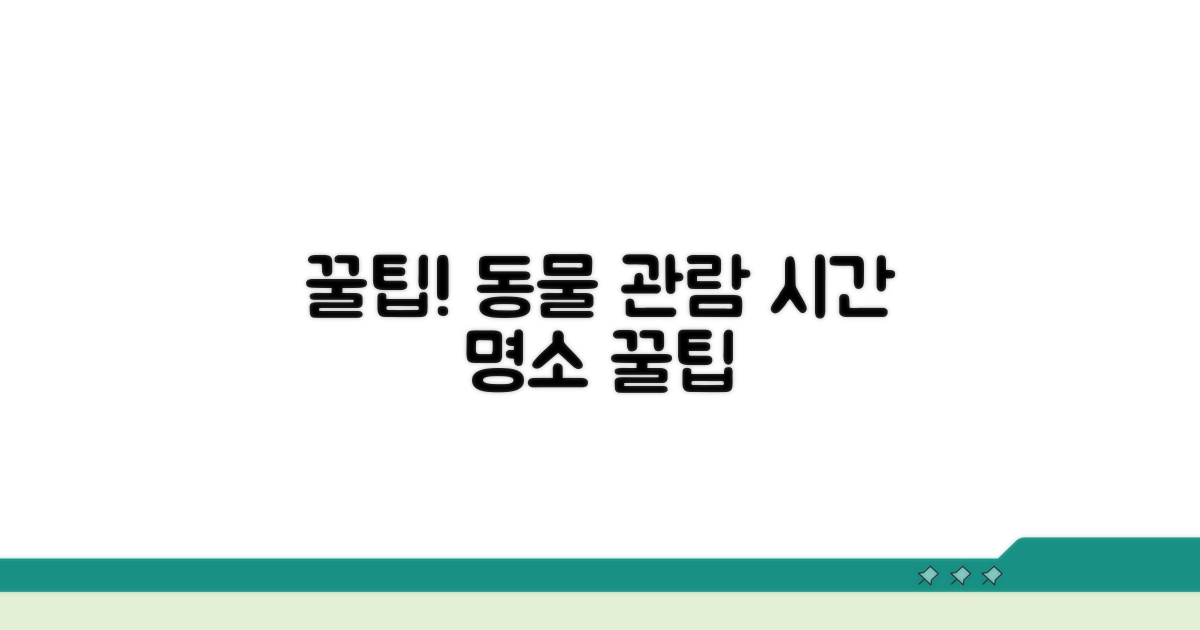 꿀팁! 인기 동물 관람 시간과 장소